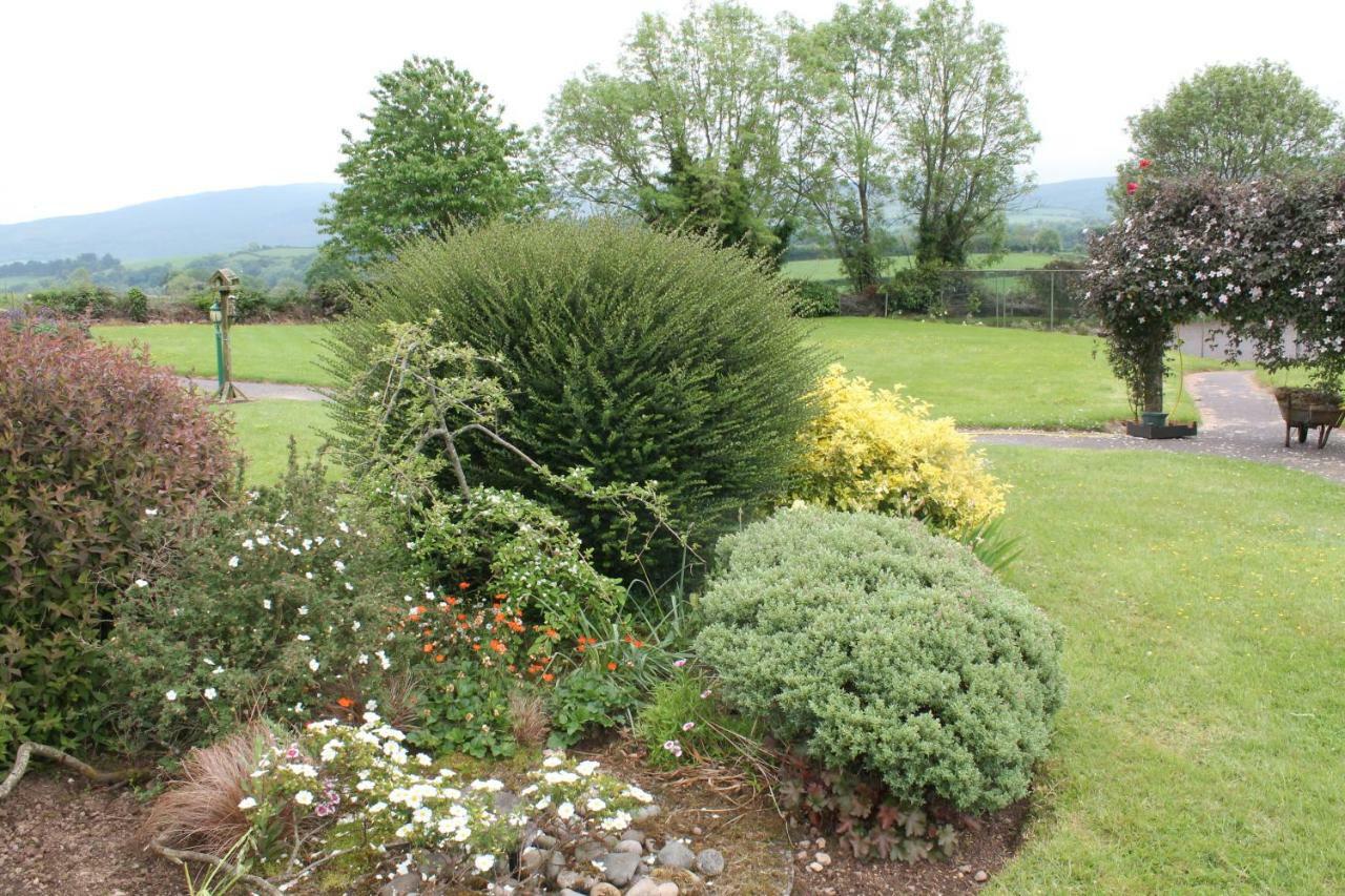 The Farm Cottages Mallow Luaran gambar